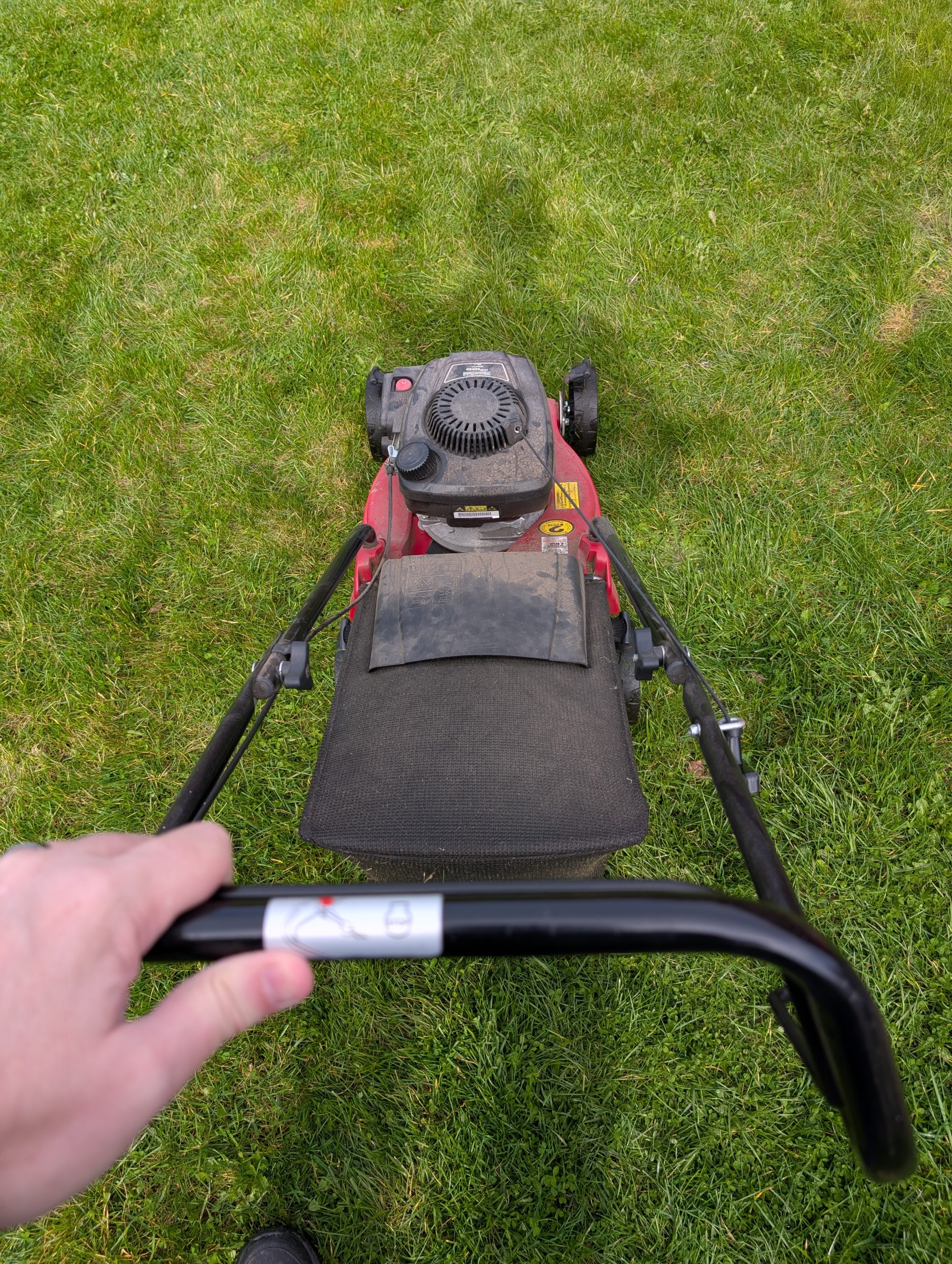 Mowing the lawn.
